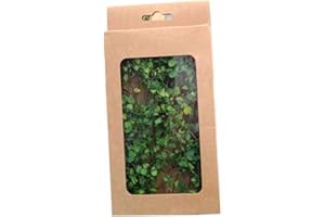 ciyeu Realistic Miniature Vines Simulation Vine for DIY Mini Model Railroad Fairy Garden Architecture