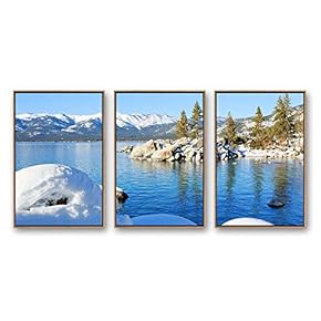 3 Piece Framed Canvas Wall Art for...