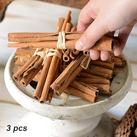 Reed Diffuser Sticks 3 Set Natural Dried Cinnamon Sticks