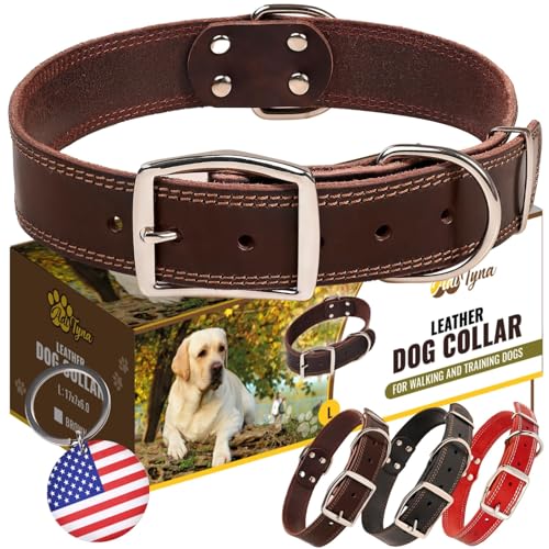 ADITYNA Heavy Duty Leather Dog Collar