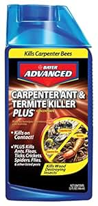 Amazon.com : Bayer Advanced 700310 Carpenter Ant and ...