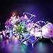 BEILAI LED String Lights 33ft 100LEDs Gifts Multicolor Waterproof Adjustable Fairy Lights Indoor Upholstery