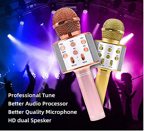 mic with speaker for singing