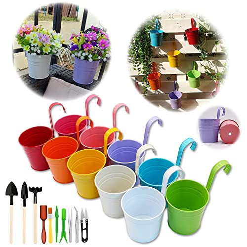 GIOVARA Lot de 10 Pots de Fleurs à Suspendre en métal avec Trou de Drainage Crochet Amovible Assortiment (17x10x8 cm avec des Outils de Jardin)