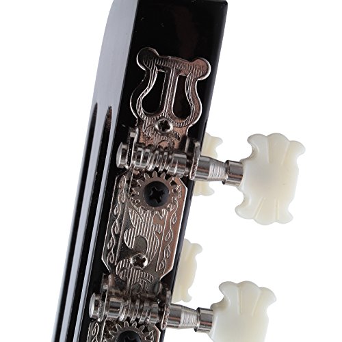 6 LAGRIMA+Acoustic+Cutaway+Natural+Beginners