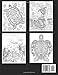 Turtle Coloring Book for Adults