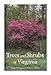 Trees and Shrubs of Virginia by 