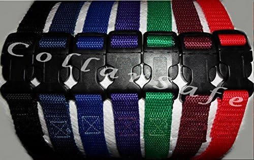 stay and play dog collar