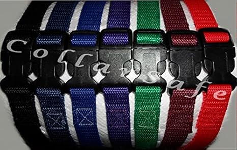 stay and play collar