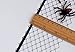 KingsCat Mesh Mask Spider Masquerade Halloween for Women Black