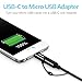 ESR USB C Adapter, Type C to Micro USB Aluminum Alloy with Keychain Strap for The MacBook, Pixel, Nexus Samgsung, S10, S10 Plus, S10e, S9, S9 Plus, S8, Note 9, LG, and Nintendo (2-Pack, Black)