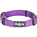 Blueberry Pet Essentials Matching Large Dog Collar | Adjustable Classic Solid Color Nylon Dog Collars for Large Dogs | Dark Orchid Dog Collar for Large Dogs