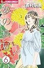 夢の真昼 第6巻