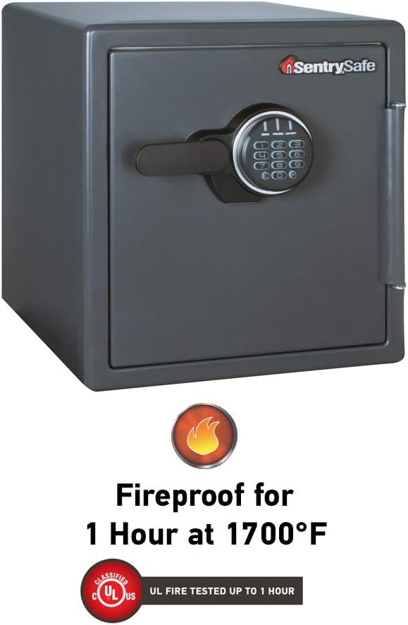 SentrySafe SF123ES Fireproof Safe with Digital Keypad 1.23 Cubic Feet,Black & 912 Tray Accessory, For SFW082 and SFW123 Fire Safes: Home Improvement