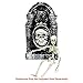 Colonel Pickles Novelties Poseable Skeleton Figure 19 Inch for Model Or Halloween Decoration - Multiple Custom Pose Positions