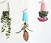 Newcom Upside-Down Planter/Sky Planter/Hanging Planter (White, Large)