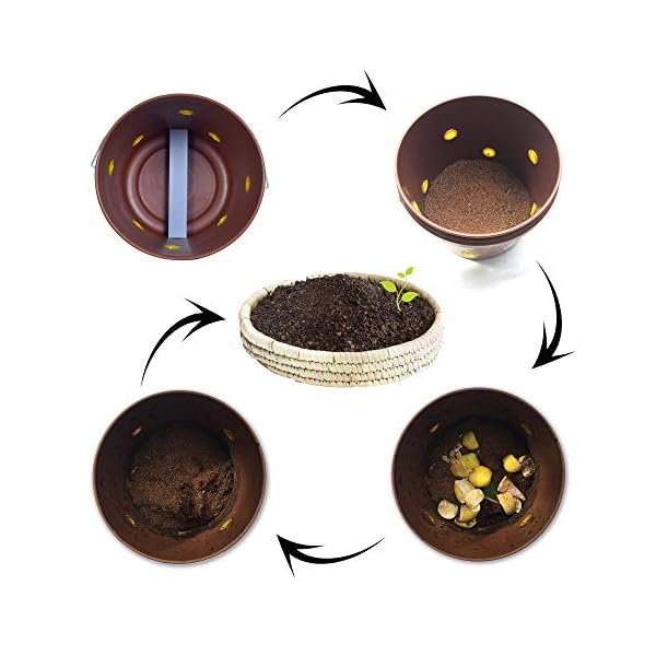 Daily Dump Chomp Triple Aerobic Compost Kit (20L x 3) - Easy, Smell-free, For Converting All Kinds of Kitchen Food Waste… - Image 5