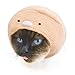 Kitan Club Cat Cap - Pet Hat Blind Box Includes 1 of 6 Cute Styles - Soft, Comfortable and Easy-to-Use Kitty Hood - Authentic Japanese Kawaii Design - Animal-Safe Materials (Sumikko Gurashi)