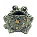 Toad Hollow Croaking Toad Statue
