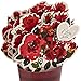Hallmark Paper Wonder Pop Up Valentines Day Card, Displayable Bouquet (Today, Tomorrow, Always), 699VFE1171