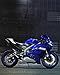 Toce 2006-2019 Yamaha R6 Razor Tip Full Exhaust System