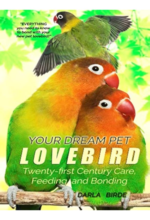 Lovebirds. Lovebirds as pets. Lovebird Keeping, Pros and Cons