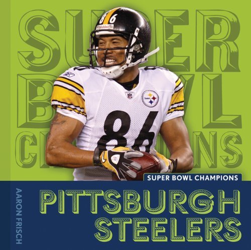 Pittsburgh Steelers (Super Bowl Champions)