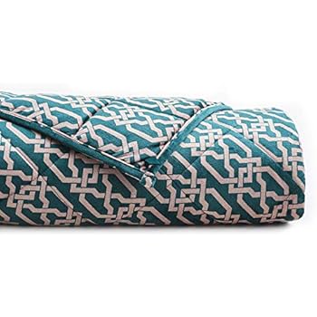 YnM Warm Minky Weighted Blanket for Winter| 20lbs, 60''x 80'', Queen Size, Suit for One Person(~190lbs) | 2.0 Fuzzy Sensory Minky Weighted Blanket with Glass Beads | Limited Time Promo