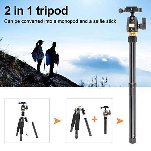 JEIFN 60"Leichtes Stativ für Kamera und Telefon, tragbares Aluminium-Reisestativ mit Einbeinstativ und 360-Grad-Kugelkopf 1/4 Zoll Schnellwechselplatte und Telefonhalter für Vlog-Reisen und Arbeiten – Bild 6