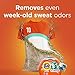 Tide Pods Plus Febreze Liquid Laundry Detergent Pacs, Botanical Rain, 73 Count