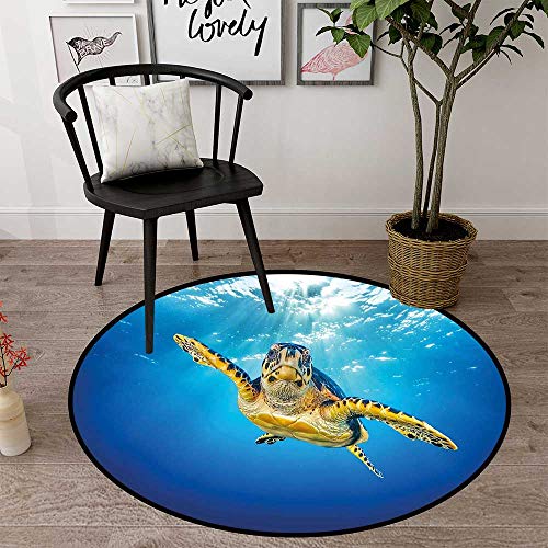 Round Floor Mat Sleeping Round Indoor Floor Mat Entrance Circle