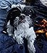 WESTLINK Dog Sunglasses Eye Wear UV Protection Goggles Pet Fashion Black Small