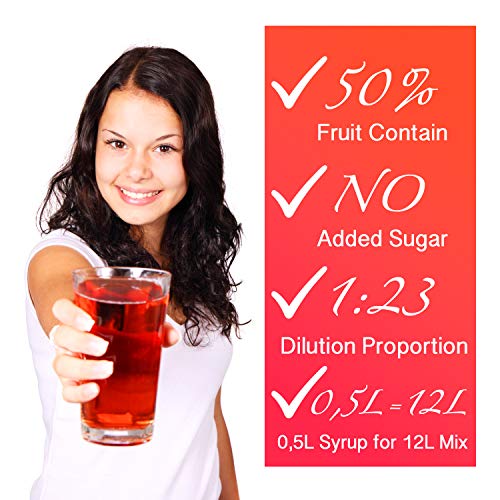 Light Mango 500ml Fitness-Sirup von FruttaMax Getränkesirup | Zuckerfrei | mit Stevia | 50% Fruchtanteil – Bild 6