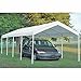 ShelterLogic 12 x 26 ft. Commercial Grade Canopy