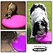 Company of Animals Nina Ottosson Dog Spinny Interactive Plastic Toy