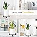 Magicfly Movable Plant Caddy, 2 Pack 10.6” Pre-Install Round Plant Stand on Wheels Heavy Duty Metal Potted Plant Dolly for Outdoor & Indoor with Lokable, Blackthumb 4