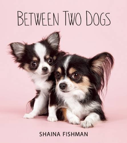Image result for between two dogs
