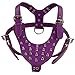 Didog Purple Leather Dog Training Walking Hiking Running Sports Spiked Studded Vest Harness for Large X-Large Dogs Chest Girth 23.5-34
