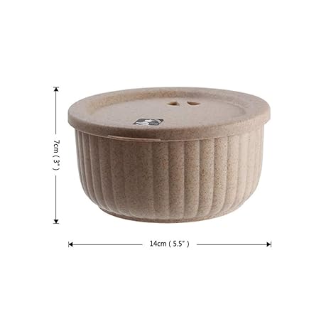 QL Frutero Ecológico Caja De Almuerzo De Fibra De Trigo Microondas ...