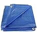 P-Line Blue Poly Tarps 20' x 20'