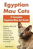 Egyptian Mau Cats: Egyptian Mau Cat Facts & Information, where to buy, health, diet, lifespan, types by Lolly Brown
