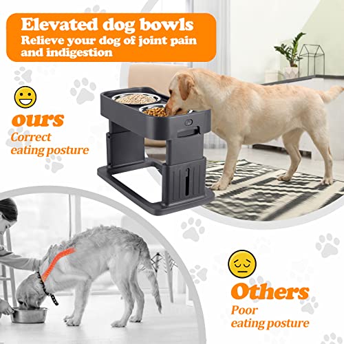 Elevated Dog Bowls Adjustable 4 Heights with 2 Stainless Steel Dogs