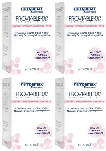 Nutramax Proviable Health Dogs and Cats Capsules 320ct (4 x 80ct)