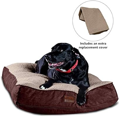 high up dog bed