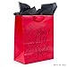 Hallmark Vida Medium Spanish Valentine's Day Gift Bag with Tissue Paper (Amor De Mi Vida)
