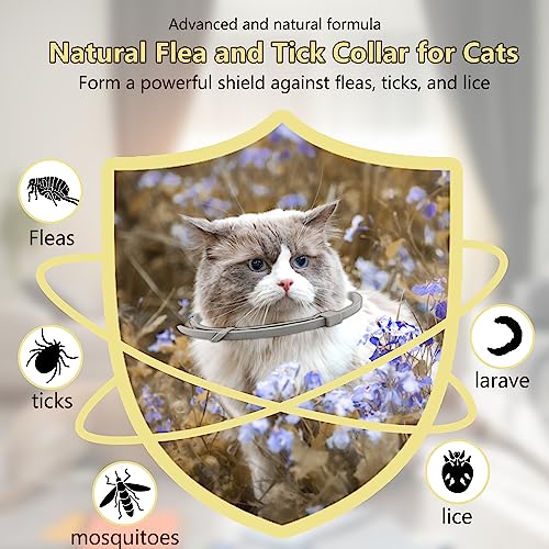 Flea Collar for Cats, Vet-Recommended Cat Flea Collar Provide Long
