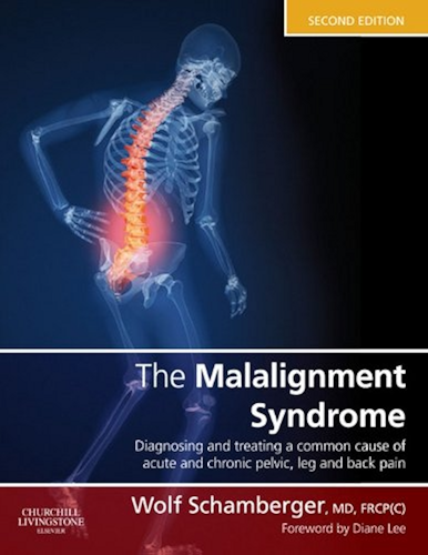 Download The Malalignment Syndrome E-Book: Implications for Medicine and Sport (English Edition) PDF
