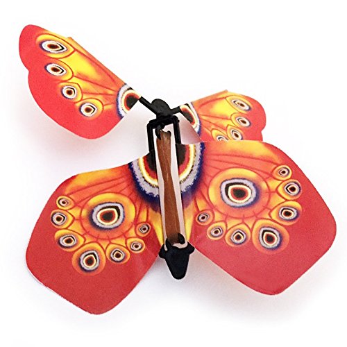  Pack Of 4 Flying Butterfly Surprise Buy Online In UAE Office 