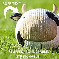 HuggLeHOUNDS Ruff-Tex Squeaky Tough Dog Chew Toy