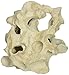 Deep Blue Professional ADB80403 Small Texas Holey Rock Synthetic Coral for Aquarium, 7.5-Inch